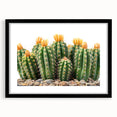 Botanical wall art collection featuring a framed cactus design in black with a white mat, ideal for modern home decor. Perfect for adding a touch of nature to any room.