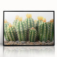 Framed wall art featuring a botanical cactus design in vibrant colors, set against a sleek black frame, perfect for modern home decor and nature enthusiasts.