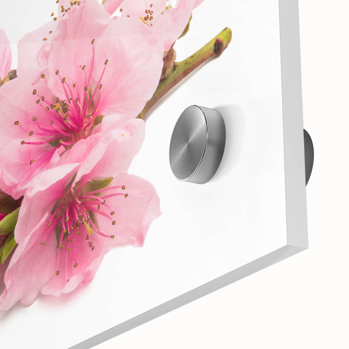 Close-up of a vibrant cherry blossom wall art design, showcasing delicate pink petals and intricate details on acrylic glass, perfect for enhancing any decor.