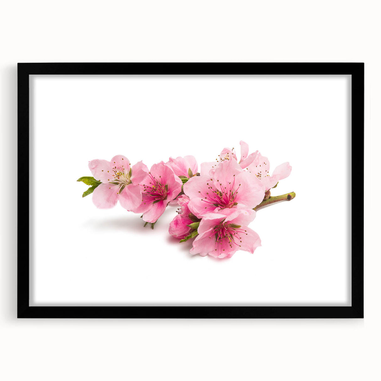 Elegant black-framed wall art showcasing a botanical cherry blossom design, featuring delicate pink flowers and lush green leaves, ideal for home decor.