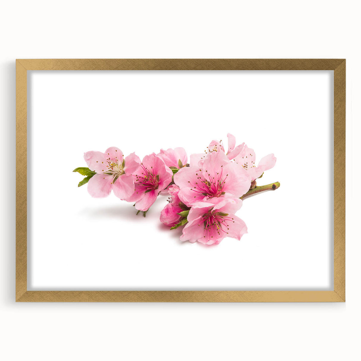 Cherry blossom wall art print framed in gold, showcasing delicate pink flowers against a white background, perfect for adding elegance to any room decor.