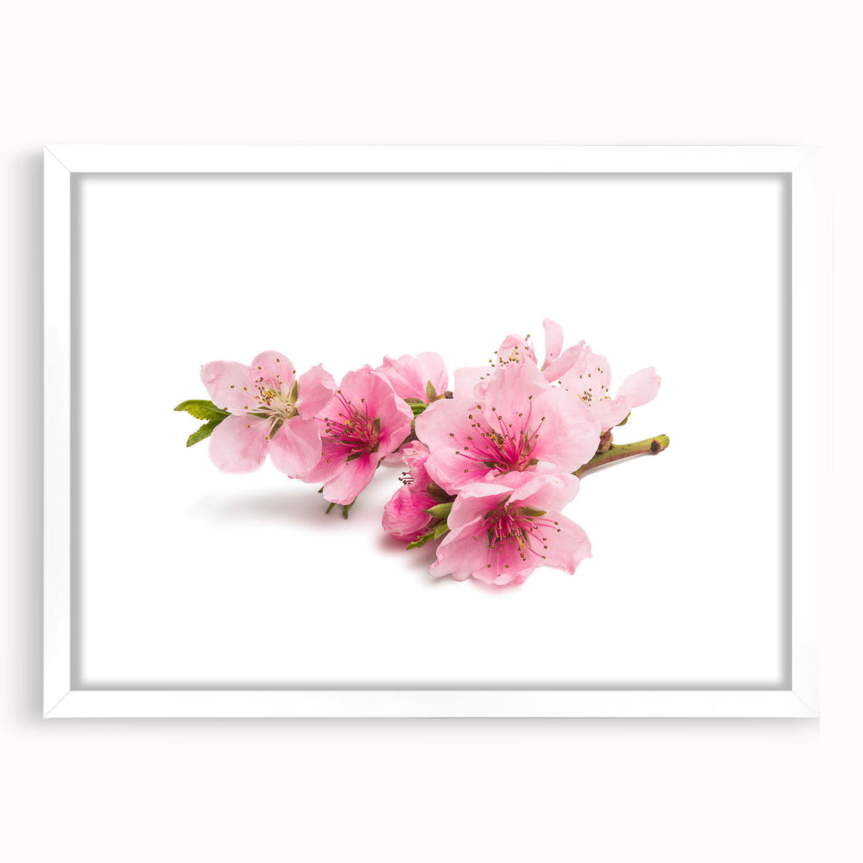 Cherry blossom wall art design featuring delicate pink flowers against a white mat and frame, ideal for home decor and botanical enthusiasts. Perfect for adding a touch of nature-inspired elegance to any room.