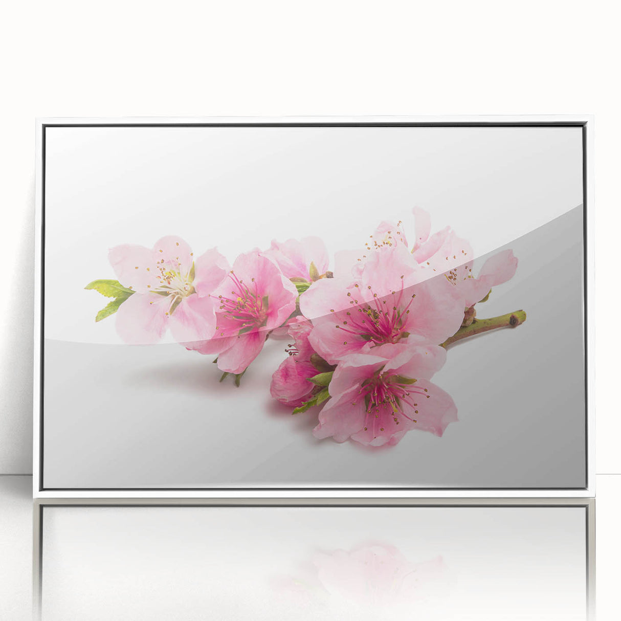 Framed acrylic wall art featuring a delicate cherry blossom design in soft pinks and whites, set against a sleek white background, perfect for enhancing modern home decor.