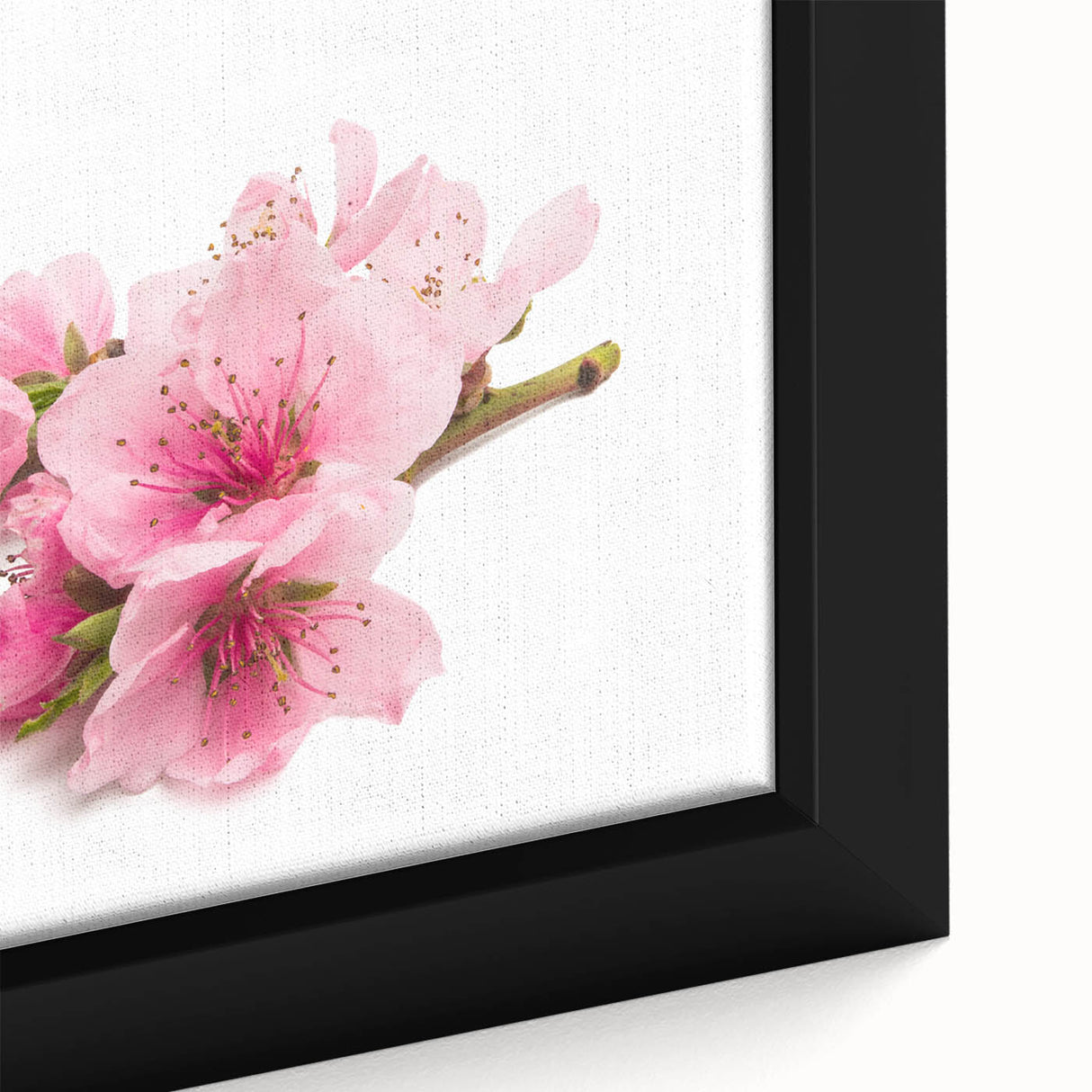 Close-up of a framed botanical wall art piece showcasing delicate cherry blossoms in soft pink hues against a light background, perfect for home decor.