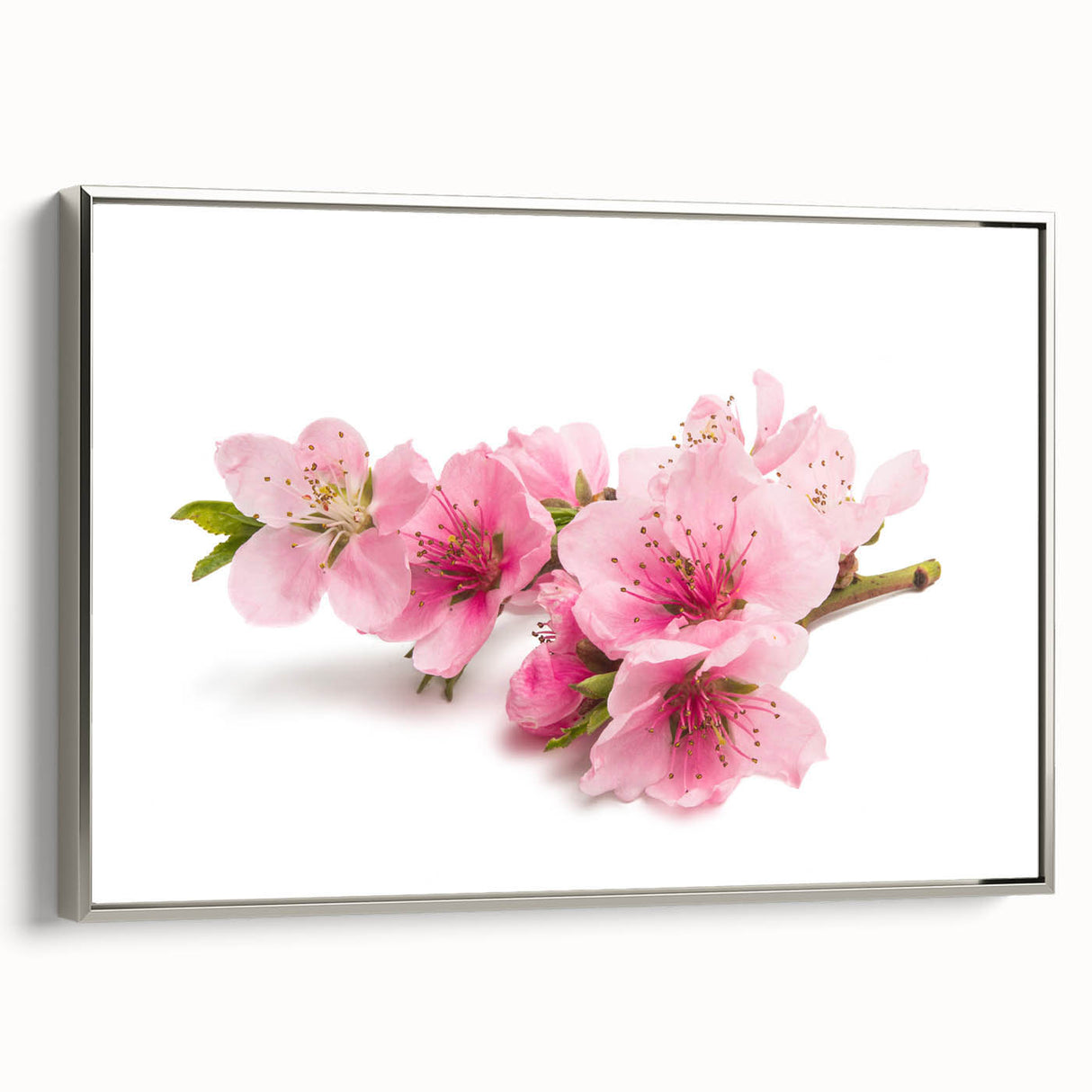 Framed canvas wall art showcasing a delicate cherry blossom botanical design with a silver frame, perfect for home decor. Side view highlights elegant details and craftsmanship.