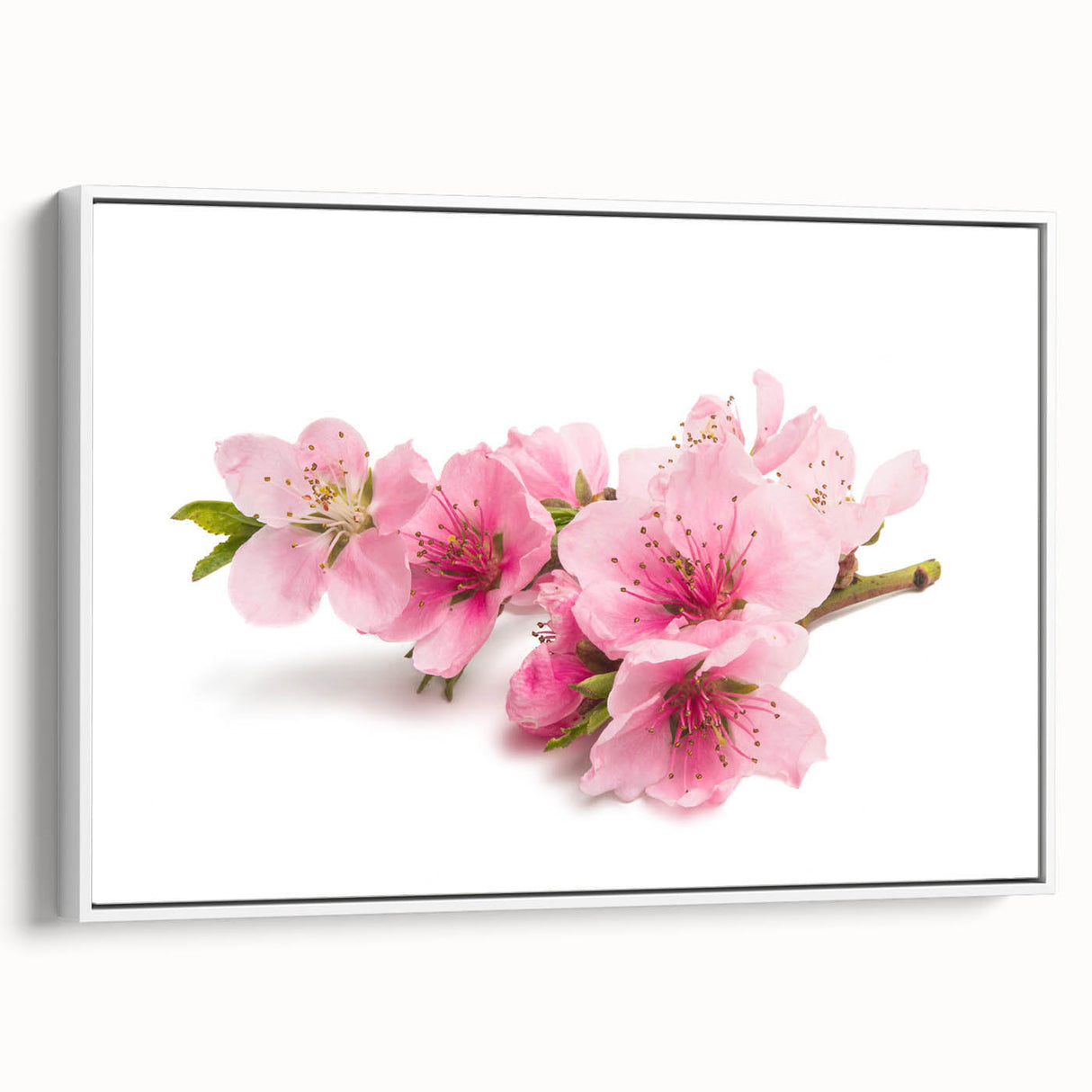 Framed canvas wall art featuring a delicate cherry blossom botanical design, showcasing soft pink flowers against a white backdrop, ideal for enhancing home decor.