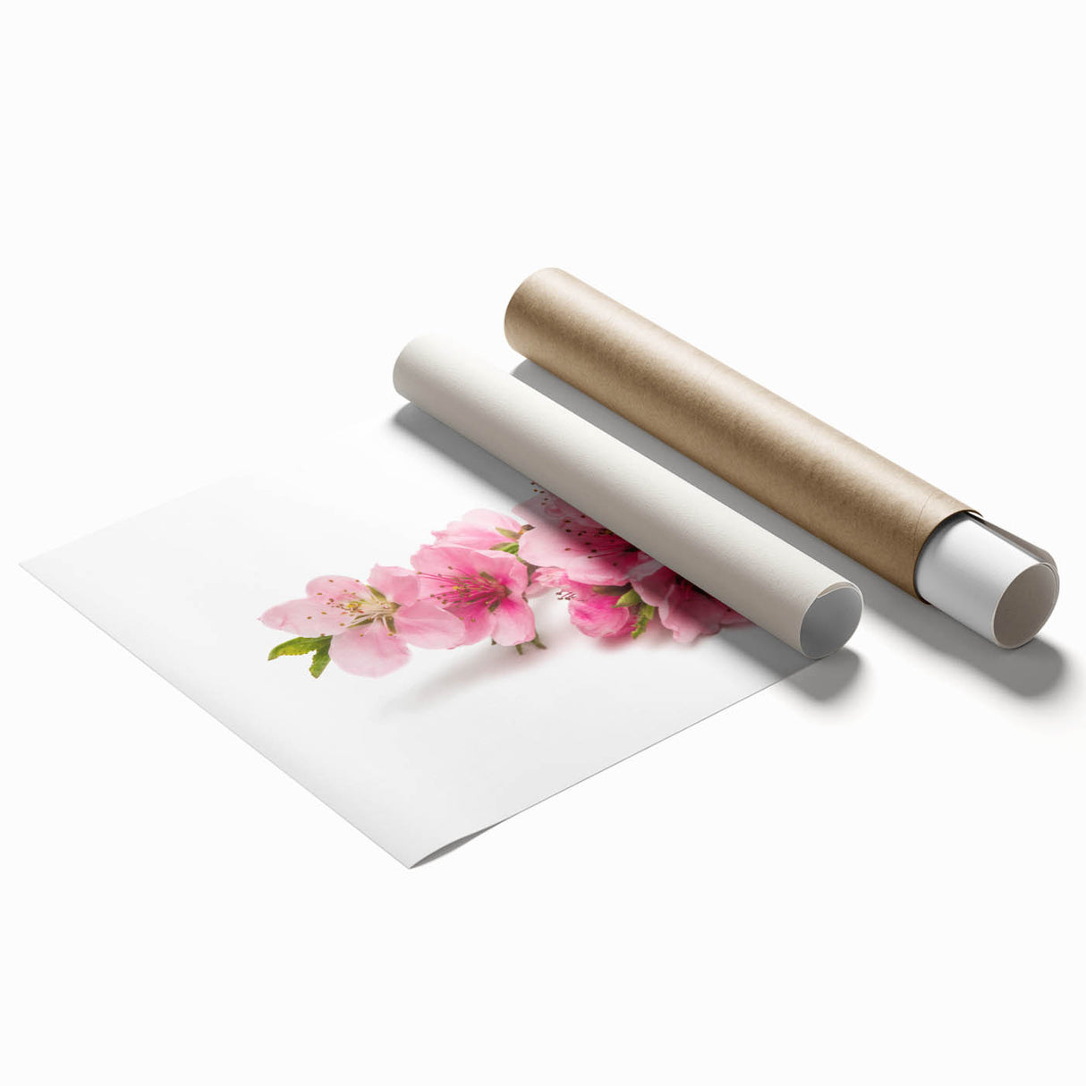 Cherry blossom wall art print featuring delicate pink flowers and green leaves, rolled for easy display and shipped in a protective tube for safe delivery.