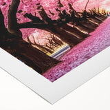 Rolled canvas showcasing a delicate cherry blossom botanical design, featuring soft pink and white flowers against a subtle background, perfect for home decor.