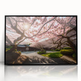 Framed acrylic wall art showcasing a vibrant cherry blossom design on a black background, ideal for home decor and floral enthusiasts, enhancing any space's aesthetic.