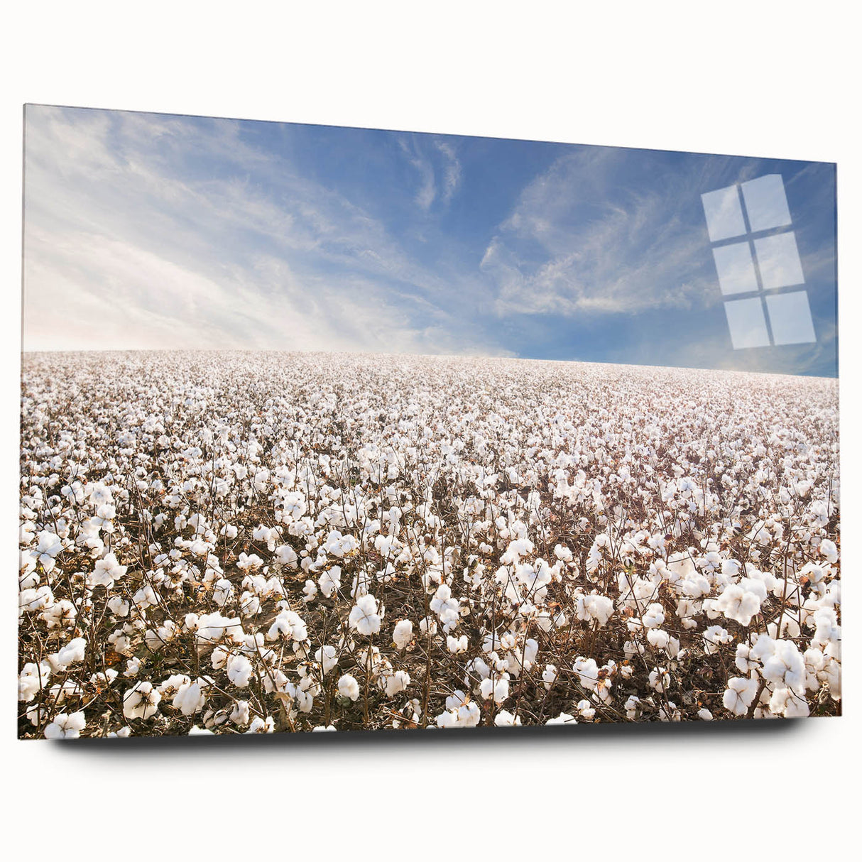 Acrylic wall art featuring a botanical cotton design with vibrant flowers, displayed from the side to showcase its sleek, modern profile and clear glass finish. Perfect for enhancing home decor with a touch of nature-inspired elegance.