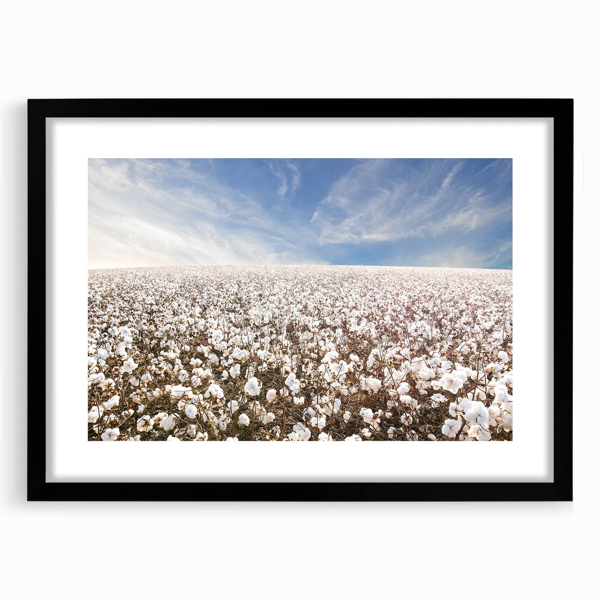 Botanical wall art featuring vibrant flowers on cotton fabric, framed in a sleek black frame with a white mat, ideal for home decor and art enthusiasts.