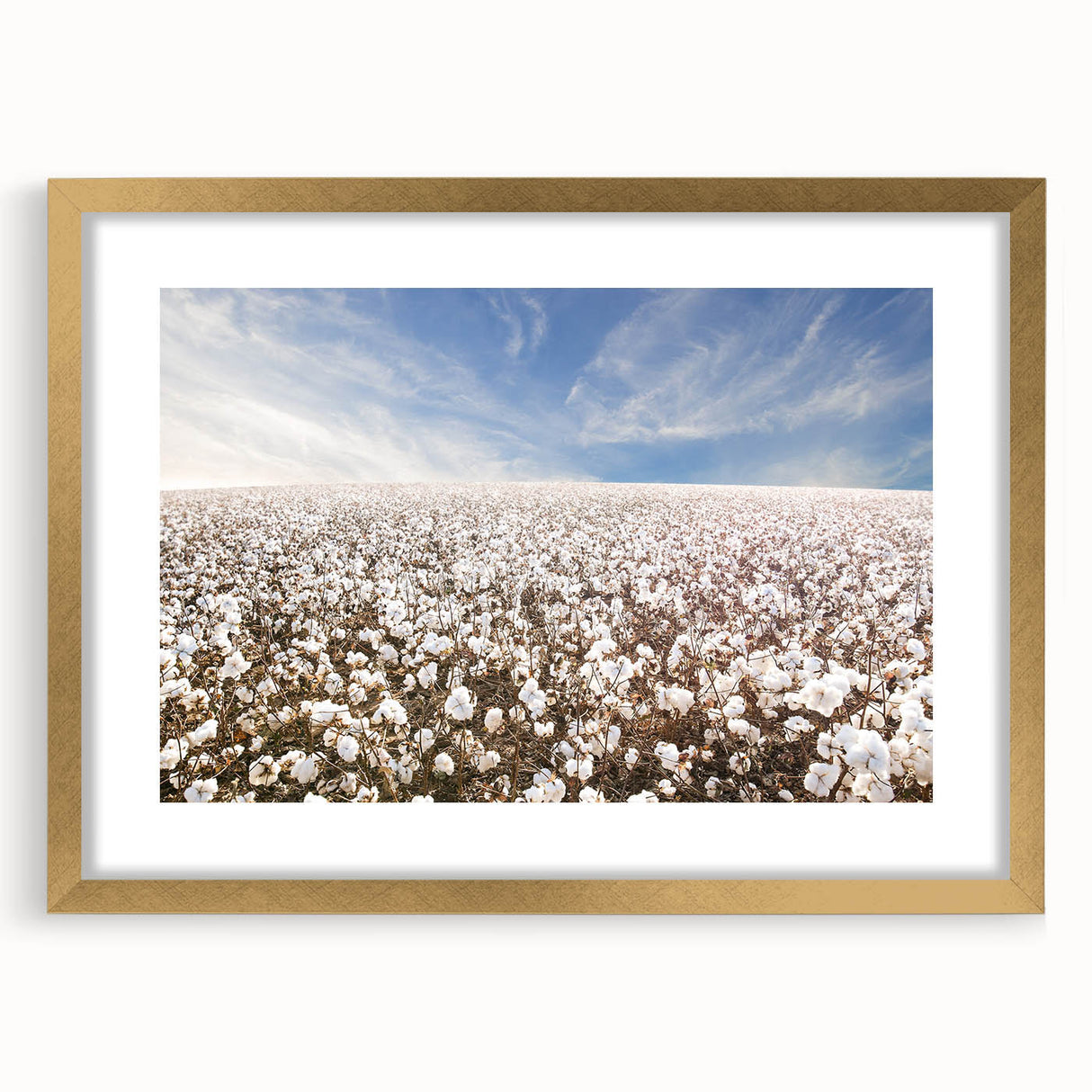 Botanical wall art design showcasing vibrant flowers in a gold frame with a mat, perfect for adding a touch of elegance to any room décor.