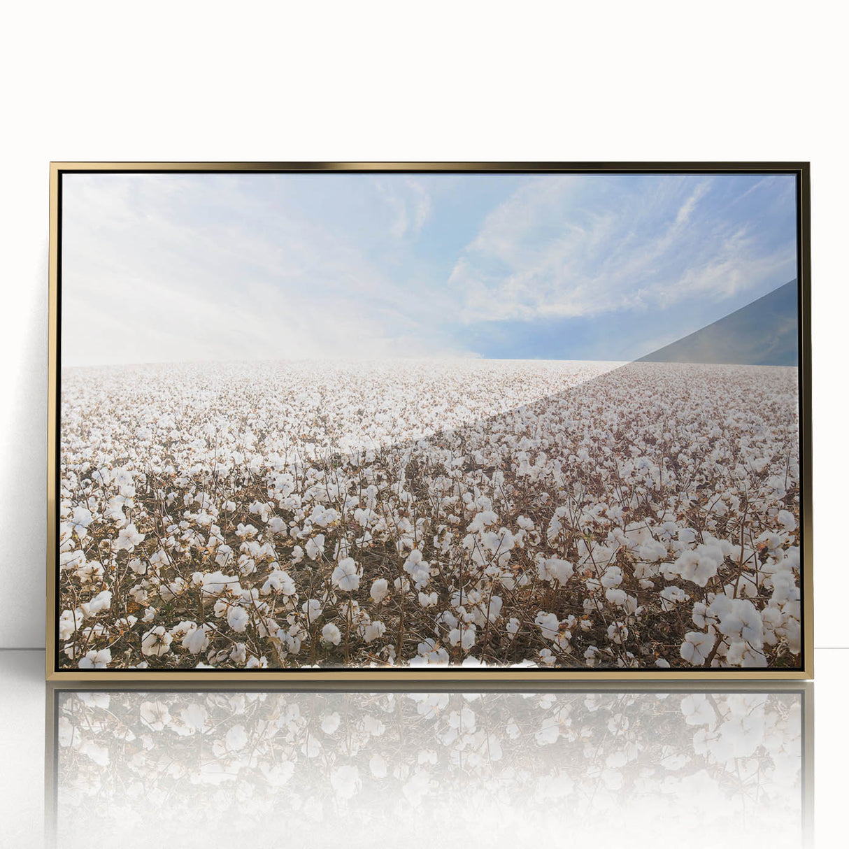 Framed botanical wall art featuring a vibrant floral design on cotton, with a gold-accented acrylic front, ideal for home decoration and enhancing interior spaces.