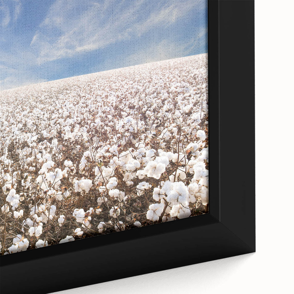 Close-up of a framed botanical canvas wall art featuring vibrant colorful flowers and intricate details, perfect for home decor in a modern aesthetic.