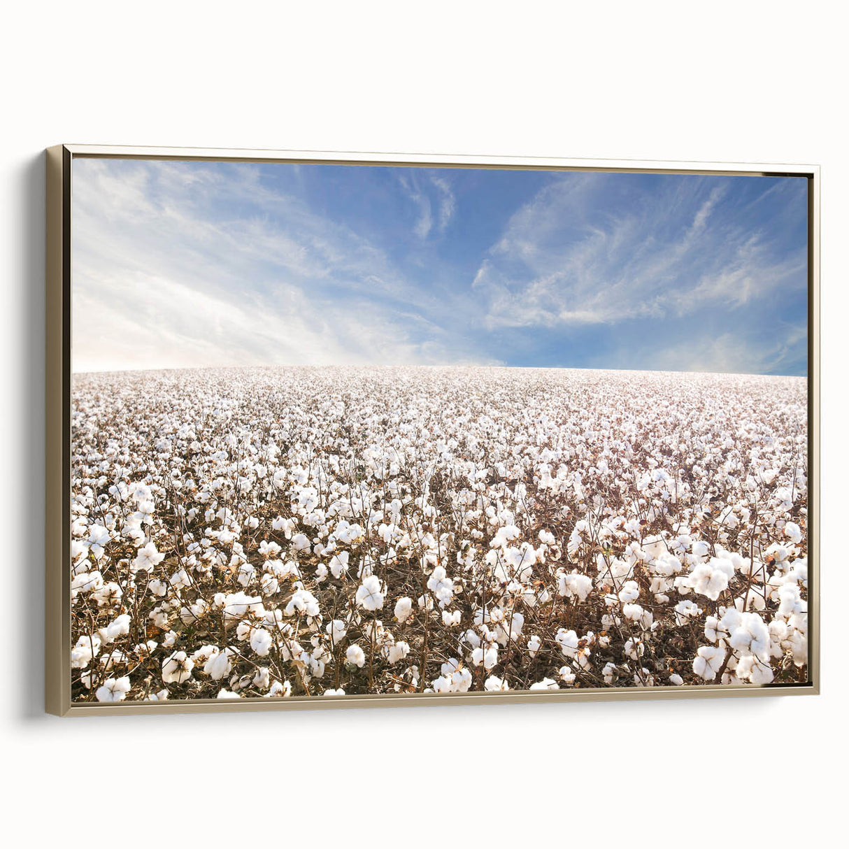 Framed botanical wall art featuring vibrant flowers on a cotton canvas, elegantly displayed with a gold frame, ideal for enhancing home decor aesthetics.