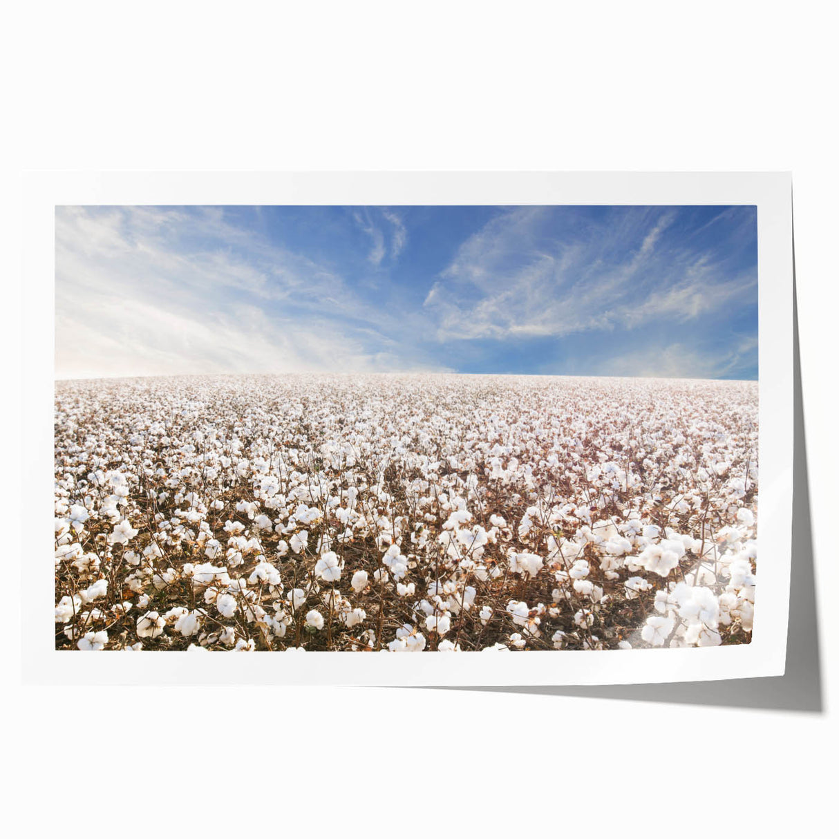 Botanical cotton wall art print featuring vibrant flowers in a watercolor style, rolled for easy display and packaging in a protective cardboard tube.