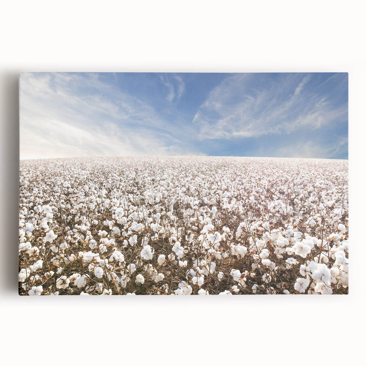 Botanical wall art design featuring vibrant flowers on stretched cotton canvas, showcasing intricate details and rich colors, ideal for home decor.