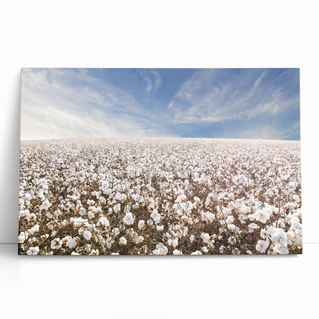 Botanical wall art design featuring vibrant flowers on stretched cotton canvas, elegantly leaning against a neutral background, perfect for home decor and floral enthusiasts.