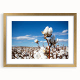 Elegant botanical wall art featuring a floral cotton design in a gold frame with a mat, showcasing vibrant colors and intricate details, perfect for home decor.