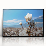 Framed botanical wall art featuring an intricate floral design on cotton, presented in a sleek black frame with acrylic front, perfect for home decor.