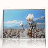 Framed wall art collection featuring a botanical cotton design with colorful flowers, presented in a sleek white frame, ideal for enhancing home decor.