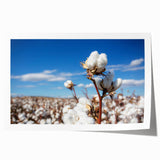 Botanical wall art print showcasing a vibrant floral design on cotton, rolled for easy framing. Perfect for adding a touch of nature to home decor.