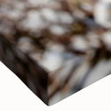 Close-up of a vibrant floral botanical design on stretched cotton canvas wall art, showcasing intricate details and rich colors, perfect for home decor enhancement.