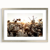 Botanical wall art collection featuring a framed cotton print of colorful flowers with a silver mat, ideal for home decor and nature enthusiasts.