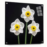 Acrylic glass wall art featuring a botanical daffodil design with vibrant yellow flowers and green leaves, elegantly displayed with pins against a neutral background, perfect for home decor.