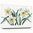 Acrylic glass wall art showcasing a botanical daffodil design, elegantly displayed with decorative pins. The vibrant yellow flowers and intricate details create a stunning focal point for home decor. Perfect for nature enthusiasts and floral art lovers seeking to enhance their interior space.