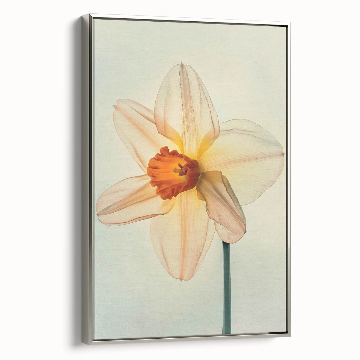 Framed wall art showcasing a botanical daffodil design on canvas, featuring a silver frame with a side view display, perfect for home decor enhancement.