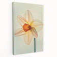 Stretched canvas wall art displaying a botanical daffodil design, showcasing vibrant yellow flowers and lush green leaves, perfect for home decor.