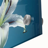 Close-up of a vibrant daffodil botanical wall art print, showcasing intricate details and vivid colors, perfect for brightening up any space with nature-inspired decor.