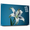 Acrylic glass wall art displaying a botanical daffodil design, showcased from the side with pins securing it, ideal for home decor enthusiasts.