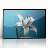 Framed acrylic wall art showcasing a vibrant botanical daffodil design in black frame, perfect for home decor, adding a touch of elegance and nature-inspired beauty.