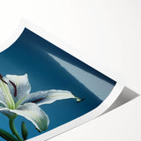 Daffodil botanical print showcasing vibrant yellow flowers with delicate green leaves, rolled and ready for framing, perfect for brightening any home decor.