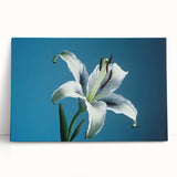 Stretched canvas displaying a vibrant daffodil botanical design, showcasing intricate yellow and green details, ideal for brightening any room decor.