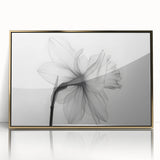 Framed acrylic wall art featuring a botanical daffodil design with gold accents, showcasing vibrant yellow flowers against a neutral background, ideal for home decor.