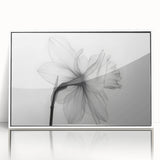 Framed acrylic wall art featuring a vibrant botanical daffodil design, showcasing delicate yellow and white flowers against a clean white background, perfect for home decor.