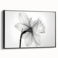 Framed canvas wall art showcasing a botanical daffodil design in vibrant colors, set against a sleek black frame, ideal for home decor and nature lovers.