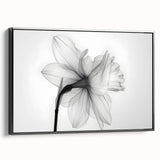Framed canvas wall art showcasing a botanical daffodil design in vibrant colors, set against a sleek black frame, ideal for home decor and nature lovers.
