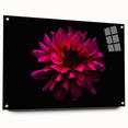 Acrylic wall art showcasing a botanical dahlia design, displayed in a side view with decorative pins, ideal for home decor and floral enthusiasts.