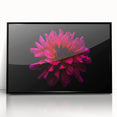 Framed wall art featuring an elegant botanical dahlia design in vibrant colors, showcasing intricate floral details on a sleek black background, perfect for home decor.