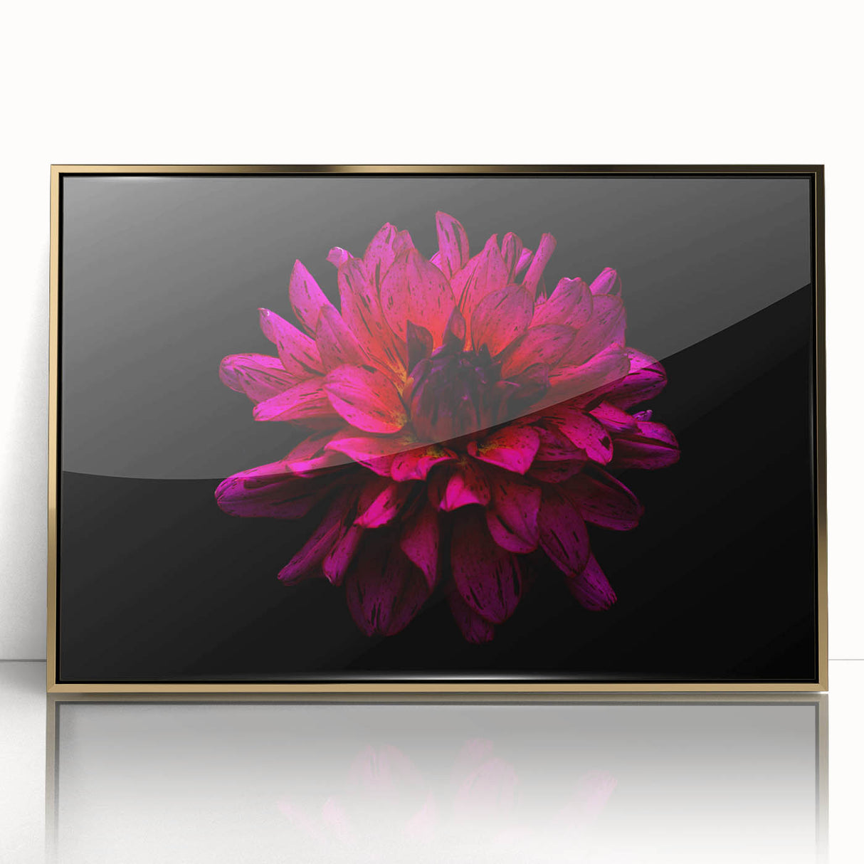 Framed wall art featuring a botanical dahlia design in vibrant colors, accented with a gold frame, ideal for home decor or floral-themed interiors.