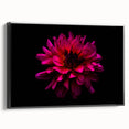 Framed canvas wall art showcasing a botanical dahlia design in vibrant colors, elegantly displayed from a side view against a black background, perfect for home decor.
