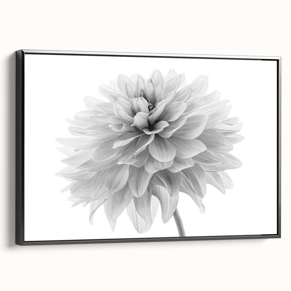 Framed wall art featuring a botanical dahlia design in vibrant colors, displayed from a black side view, perfect for enhancing modern home decor.