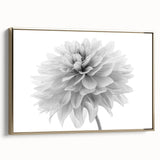 Framed canvas wall art showcasing a vibrant botanical dahlia design in rich hues of pink and gold, elegantly displayed from the side, perfect for home decor.