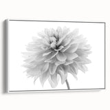 Framed botanical wall art featuring a dahlia design in soft pinks and whites, elegantly displayed from the side against a bright background, perfect for home decor.