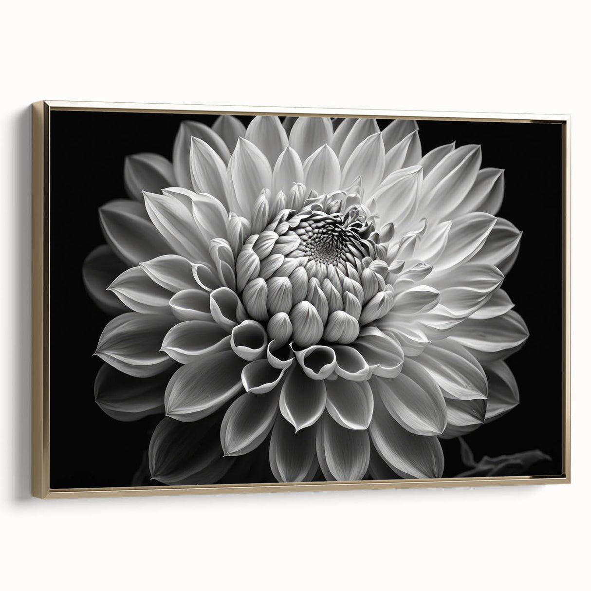 Framed botanical dahlia wall art collection featuring a vibrant gold frame, showcasing colorful floral designs on a textured canvas, perfect for home decor.