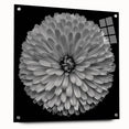 Side view of a botanical dahlia wall art collection displayed in an acrylic glass frame, highlighting vibrant floral designs and elegant pin accents for modern decor.